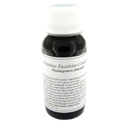 Lvs 22n Fraxinus Excelsior Compositum