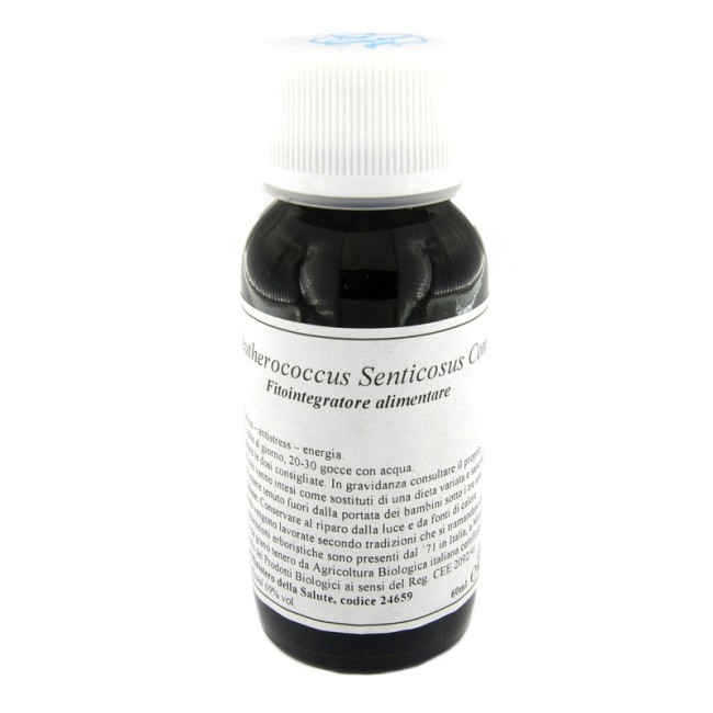 Lvs 45c Eleutherococcus Senticosus Compositum Lvs 45c Eleutherococcus Senticosus Compositum