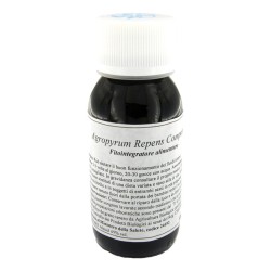 Lvs 93c Agropyrum Repens Compositum
