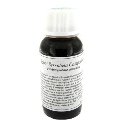 Lvs 10n Sabal Serrulatum Compositum
