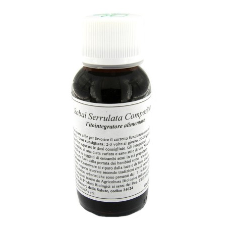 Lvs 10n Sabal Serrulatum Compositum Lvs 10n Sabal Serrulatum Compositum