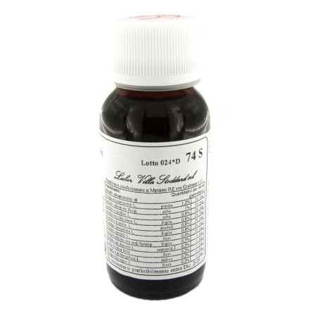 Lvs 74s Eryngium Campestre Compositum Lvs 74s Eryngium Campestre Compositum
