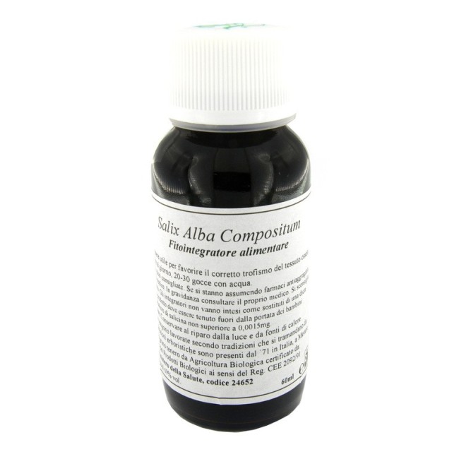 Lvs 38n Salix Alba Compositum