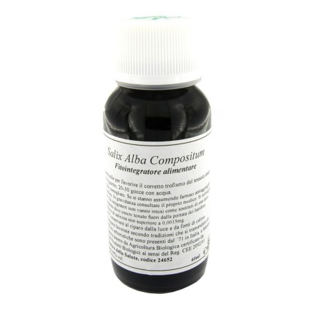 Lvs 38n Salix Alba Compositum