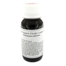 Lvs 29s Coffea Vulgaris Viridis Compositum