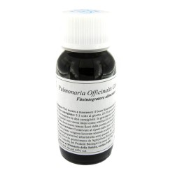 Lvs 84c Pulmonaria Officinalis Compositum