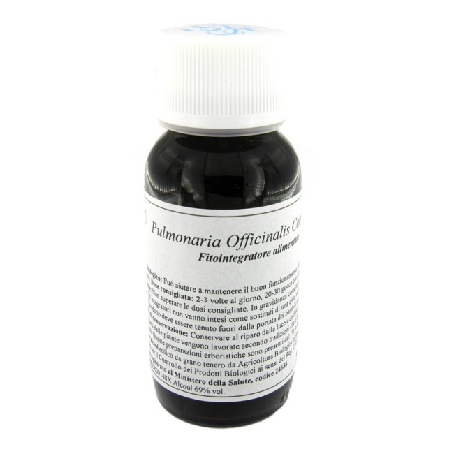 Lvs 84c Pulmonaria Officinalis Compositum Lvs 84c Pulmonaria Officinalis Compositum