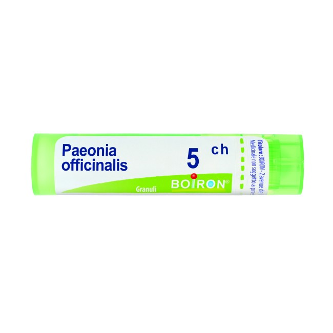 PAEONIA OFFICINALIS*5CH 80GR PAEONIA OFFICINALIS*5CH 80GR