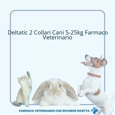 DELTATIC*2COLLARI CANI 5-25KG DELTATIC*2COLLARI CANI 5-25KG
