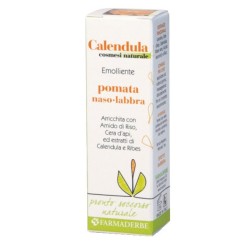 Calendula Pomata Naso-labbra 10 Ml