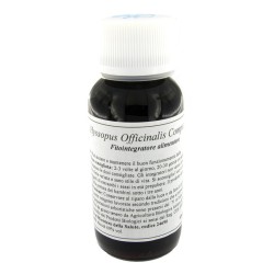 Lvs 91c Hyssopus Officinalis Compositum