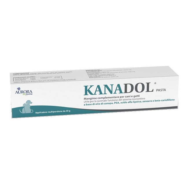 Kanadol Pasta 30 G