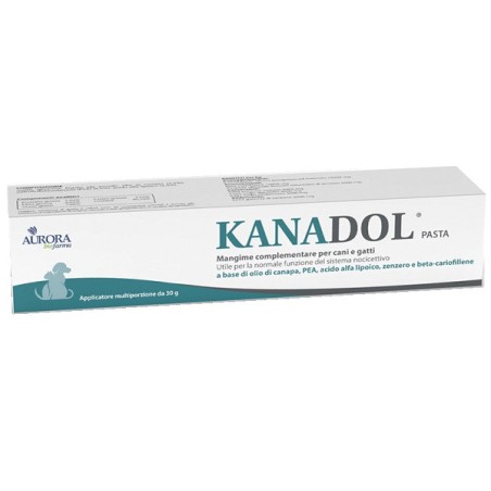 Kanadol Pasta 30 G