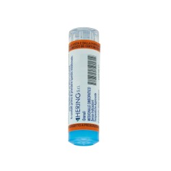 ACTEA RACEMOSA*15CH 80GR 4G