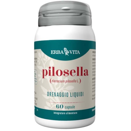 Confezione da 60 capsule di Erba Vita Pilosella, integratore per il drenaggio dei liquidi. Confezione da 60 capsule di Erba Vita Pilosella, integratore per il drenaggio dei liquidi.