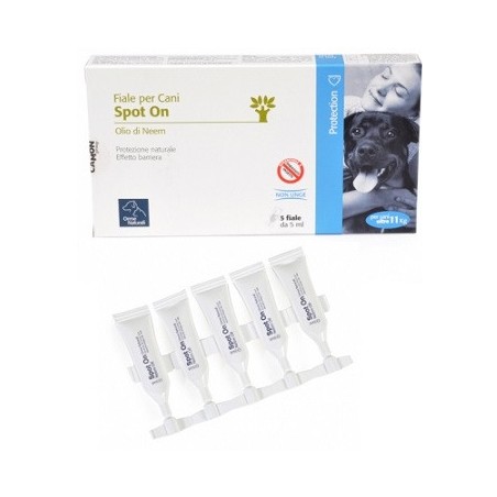 Protection Spoton Cane +10kg 5 X 5 Ml