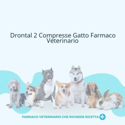 Drontal Compresse Per Gatti