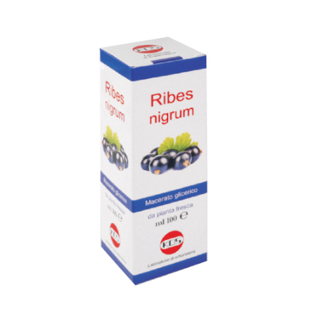 Flacone da 100 ml di Kos Ribes Nigrum Macerato Glicerico, integratore per il benessere respiratorio. Flacone da 100 ml di Kos Ribes Nigrum Macerato Glicerico, integratore per il benessere respiratorio.