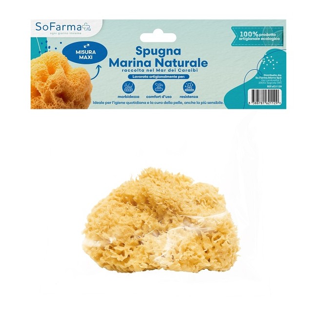 Spugna Marina Naturale Maxi Sofarmapiu'