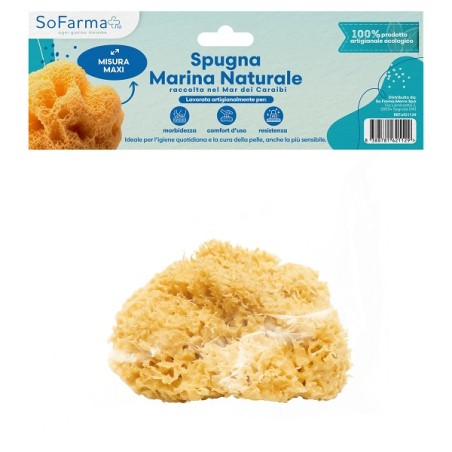 Spugna Marina Naturale Maxi Sofarmapiu'