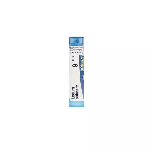Ledum Palustre Boi 9ch Gr 4g