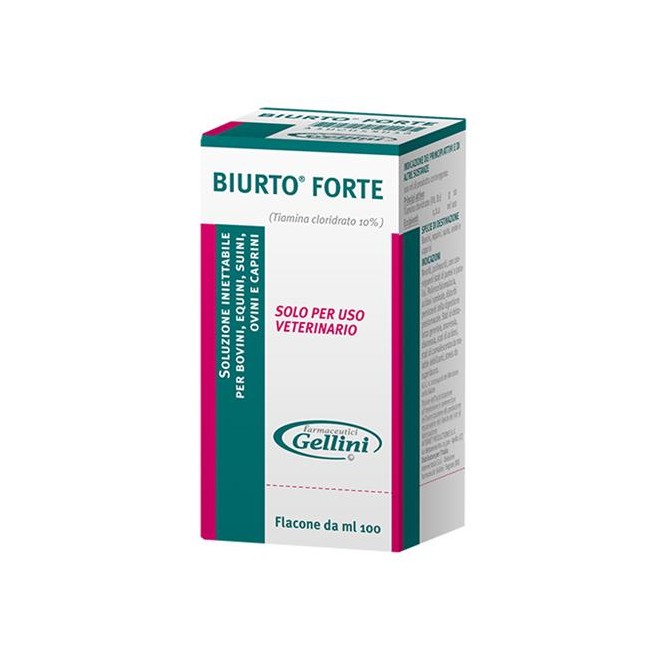 Biurto Forte Biurto Forte
