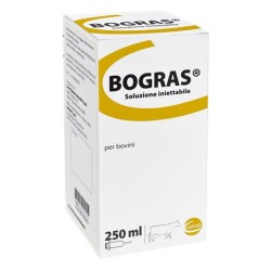 Bogras