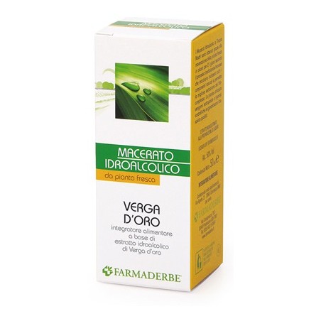 Verga D'oro Macerato Idroalcolico 50 Ml Verga D'oro Macerato Idroalcolico 50 Ml