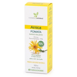 Arnica Pomata 100 Ml