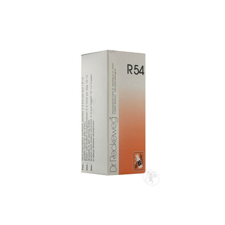 RECKEWEG R54 GOCCE 22 ML