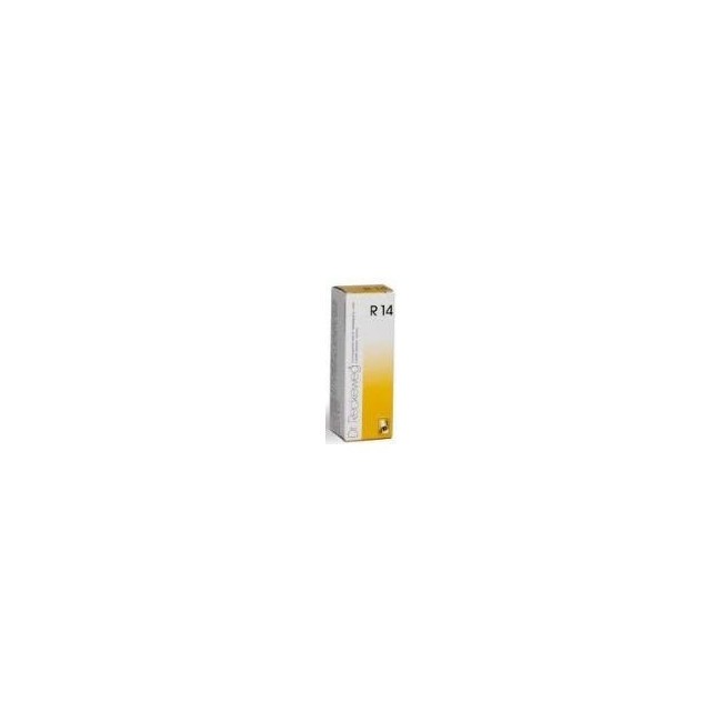 RECKEWEG R14 GOCCE 22 ML RECKEWEG R14 GOCCE 22 ML