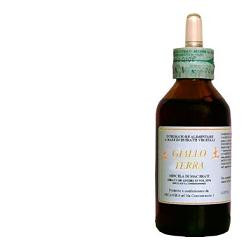 Giallo Terra Sol Ial 100ml