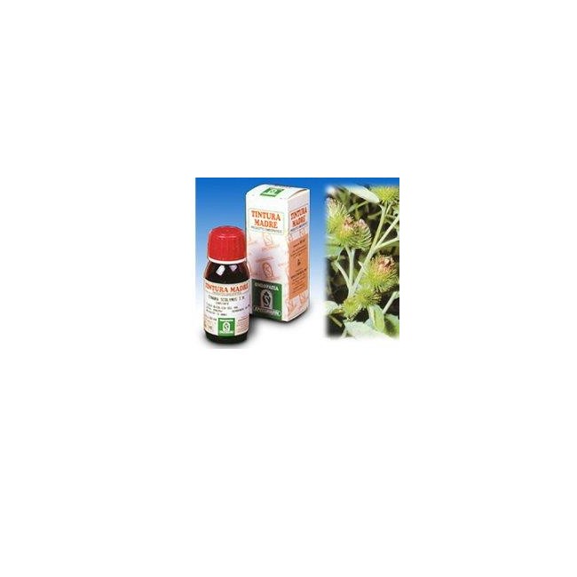 BARDANA 50ML TM BARDANA 50ML TM