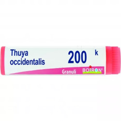 THUYA OCCIDENT 200K GLOBULI THUYA OCCIDENT 200K GLOBULI