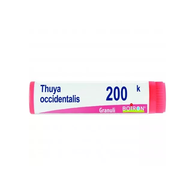 THUYA OCCIDENT 200K GLOBULI THUYA OCCIDENT 200K GLOBULI