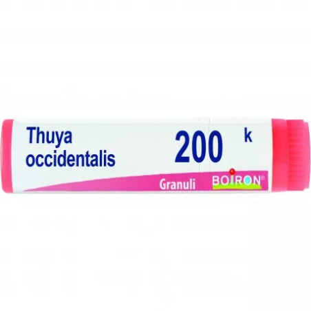 THUYA OCCIDENT 200K GLOBULI THUYA OCCIDENT 200K GLOBULI