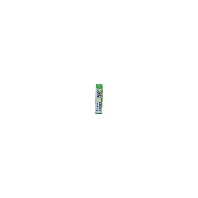 LEDUM PALUSTRE 200CH GLOBULI LEDUM PALUSTRE 200CH GLOBULI