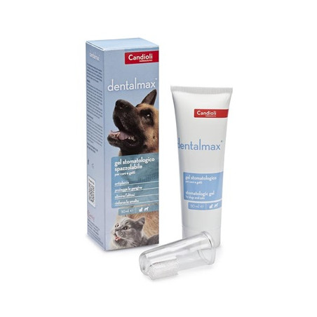 DENTALMAX GEL STOMATOLOGICO 50 ML DENTALMAX GEL STOMATOLOGICO 50 ML