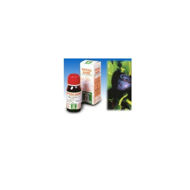 MIRTILLO 31 50ML TM MIRTILLO 31 50ML TM