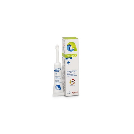 ACTEA ORAL GEL STOMATOLOGICO 15 ML ACTEA ORAL GEL STOMATOLOGICO 15 ML