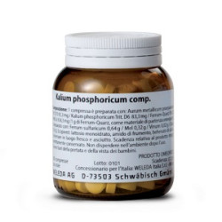 KALIUM PHOSPHORICUM COMP 200 COMPRESSE