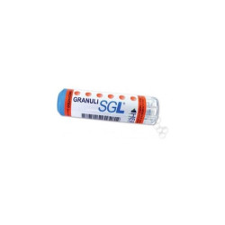 APIS MELLIFICA SGL 9CH 4 G