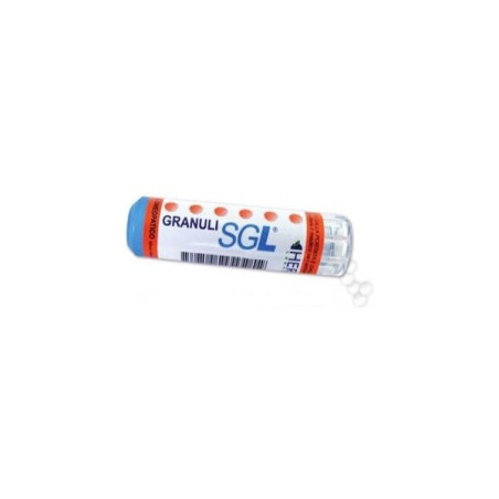 APIS MELLIFICA SGL 9CH 4 G APIS MELLIFICA SGL 9CH 4 G