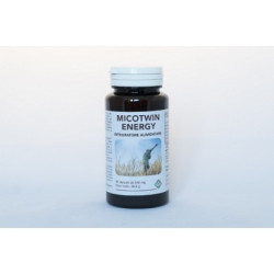 Micotwin Energy 90 Capsule