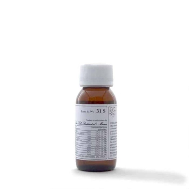 Lvs 31s Lamium Album Compositum Lvs 31s Lamium Album Compositum