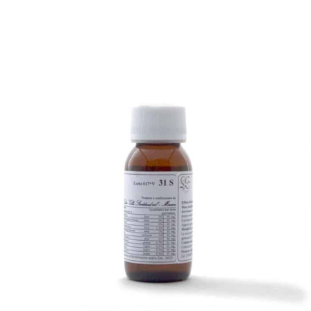 Lvs 31s Lamium Album Compositum Lvs 31s Lamium Album Compositum
