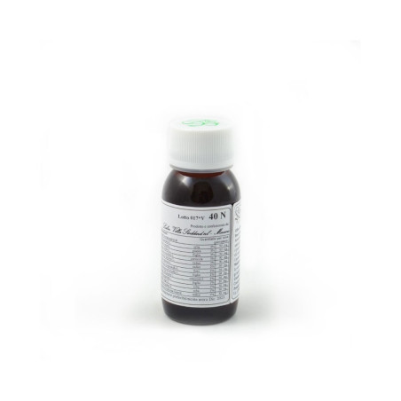 Lvs 40n Bellis Perennis Compositum Lvs 40n Bellis Perennis Compositum