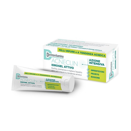 DERMOVITAMINA ACNECLIN IDROGEL ATTIVO AZIONE INTENSIVA 40 ML DERMOVITAMINA ACNECLIN IDROGEL ATTIVO AZIONE INTENSIVA 40 ML
