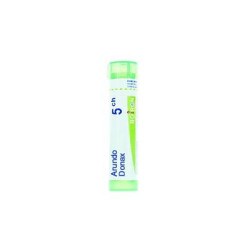 ARUNDO DONAX 5CH GRANULI