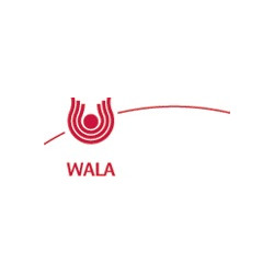 WALA SILICEA COMPOSITUM GLOBULI 20 G